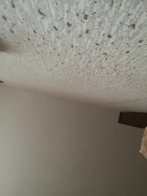 SaliiOnli Adult Chat April 9, 2026