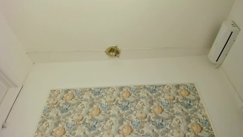 illegal_lorry Adult Chat April 9, 2026