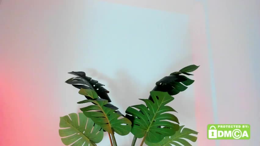 ashllovee_ Adult Chat April 9, 2026