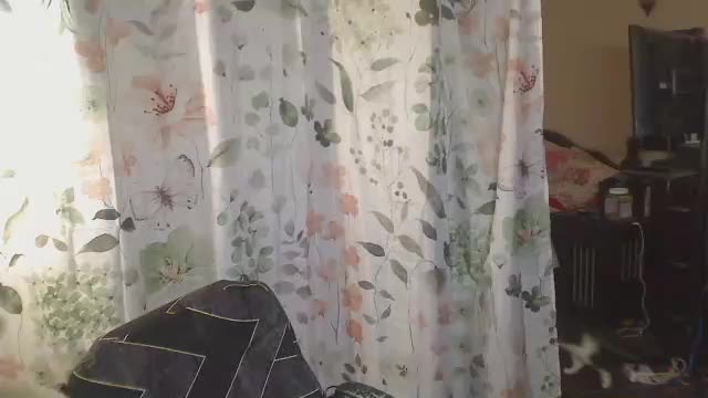 squirtingmama Adult Chat April 9, 2026