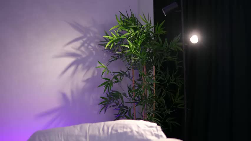 _arielle Adult Chat April 10, 2026