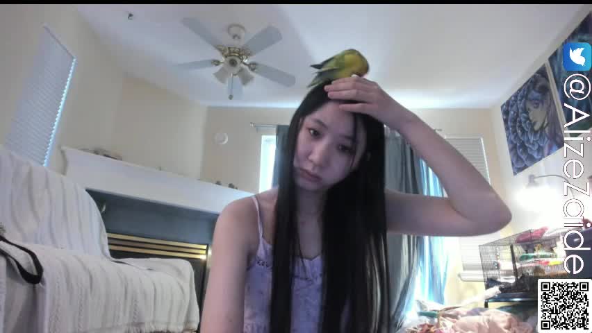 alizezaide Adult Chat April 10, 2026