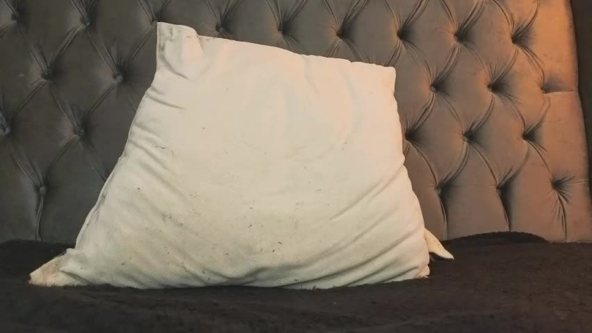 anya_belth Adult Chat April 10, 2026