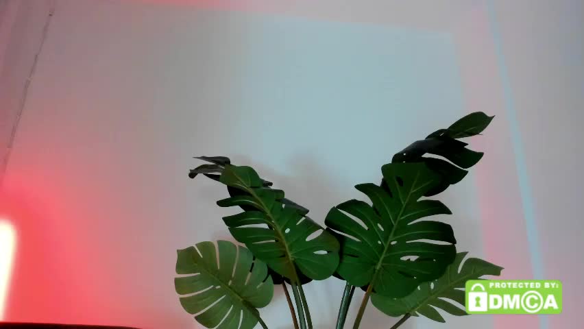 ashllovee_ Adult Chat April 10, 2026