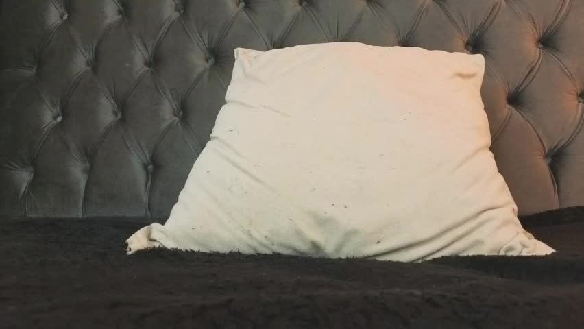 anya_belth Adult Chat April 10, 2026