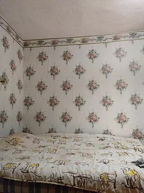 Alisa-33 Adult Chat April 10, 2026