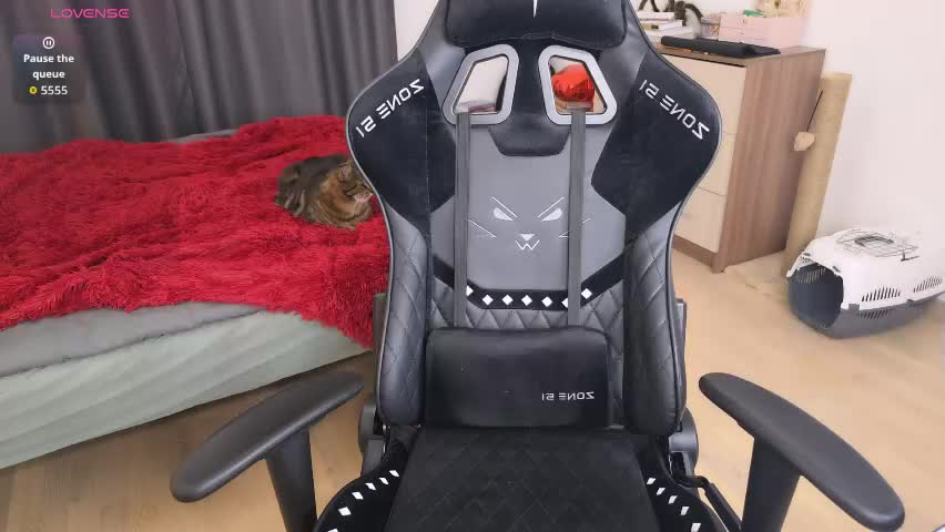 jane_modelxx Adult Chat April 10, 2026