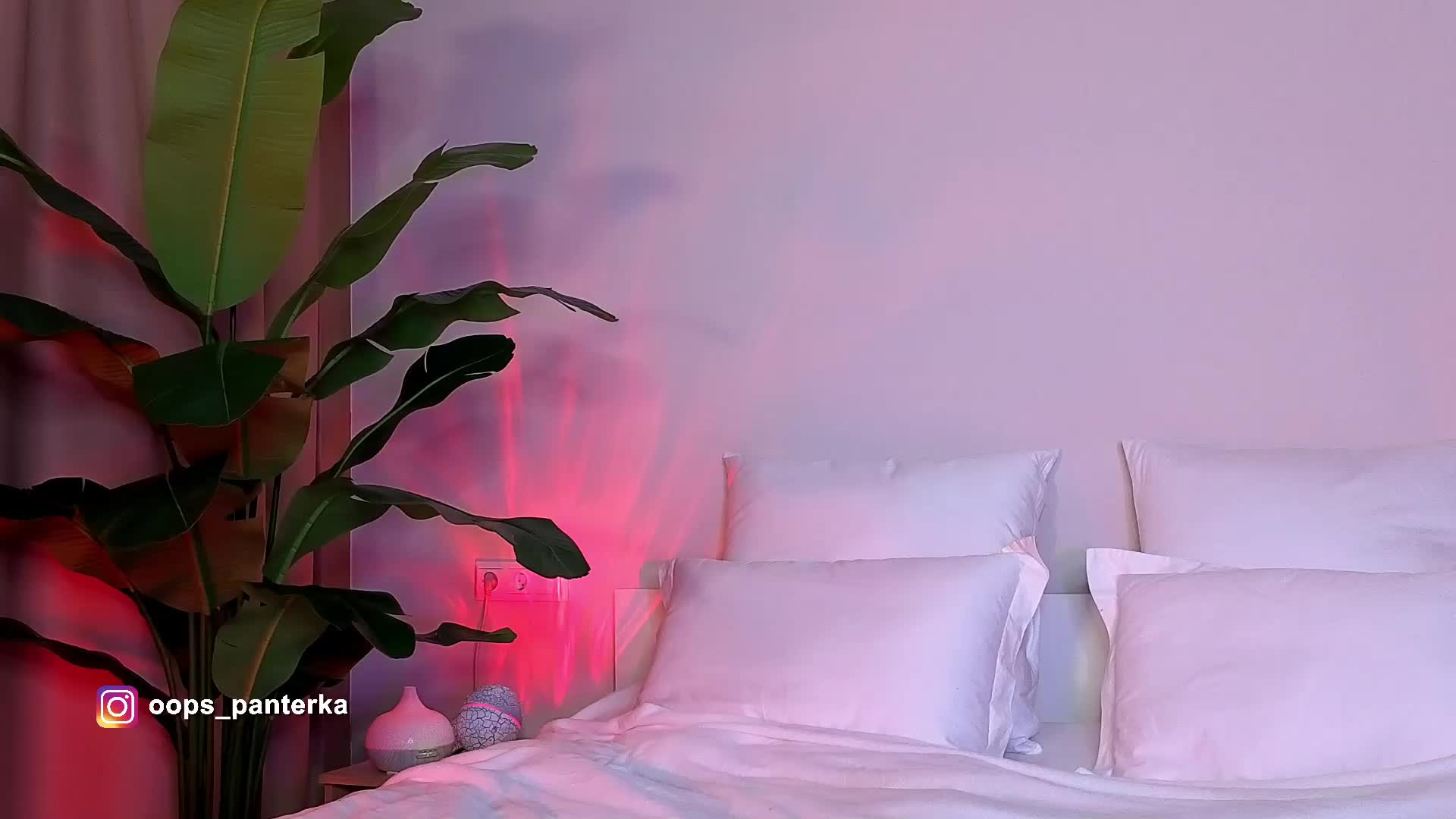 Amyleeplayss Adult Chat April 10, 2026