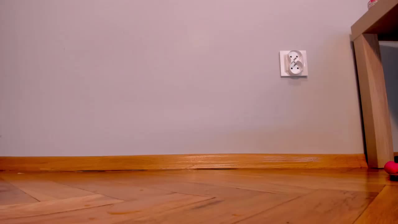 PlumpyPawg Adult Chat April 10, 2026