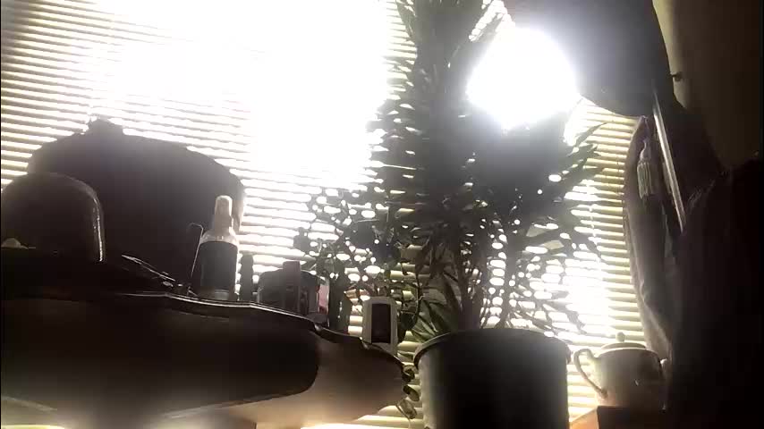 livmirage Adult Chat April 10, 2026