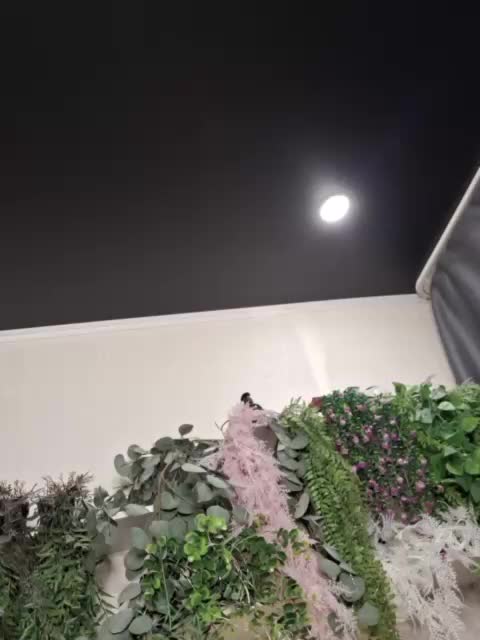 -scyrim- Adult Chat April 10, 2026