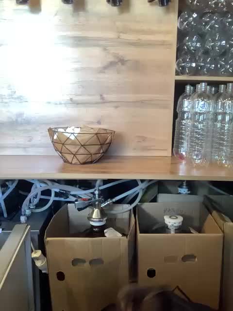 Yummypopka Adult Chat April 10, 2026