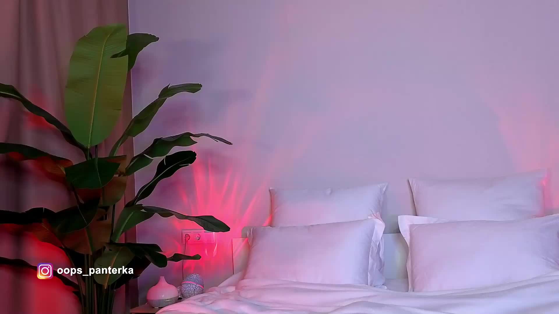 Amyleeplayss Adult Chat April 10, 2026