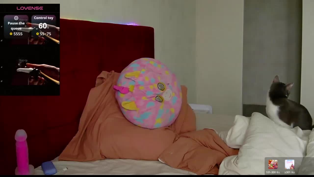 CandySurprise19 Adult Chat April 10, 2026