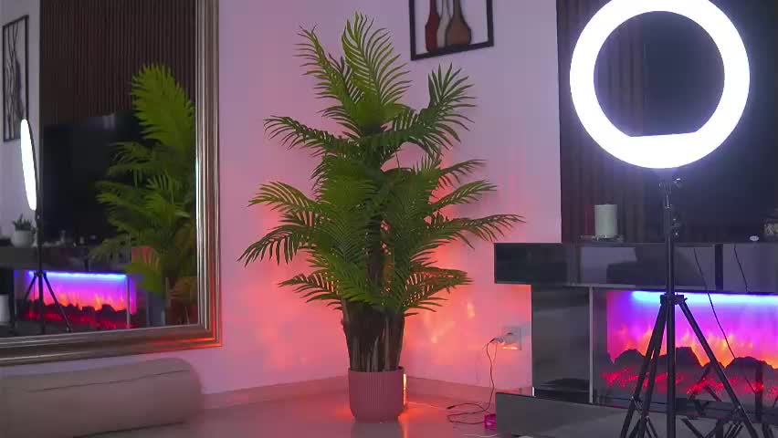 abbela_white Adult Chat April 10, 2026