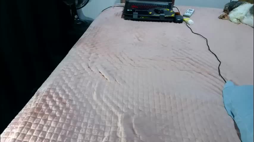 laylabrasil Adult Chat April 11, 2026
