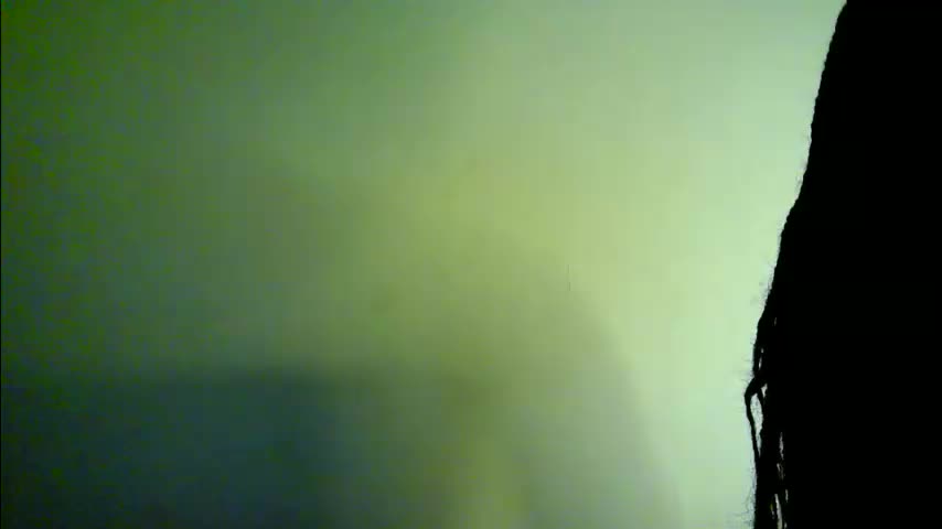 savagetongu3e Adult Chat April 11, 2026