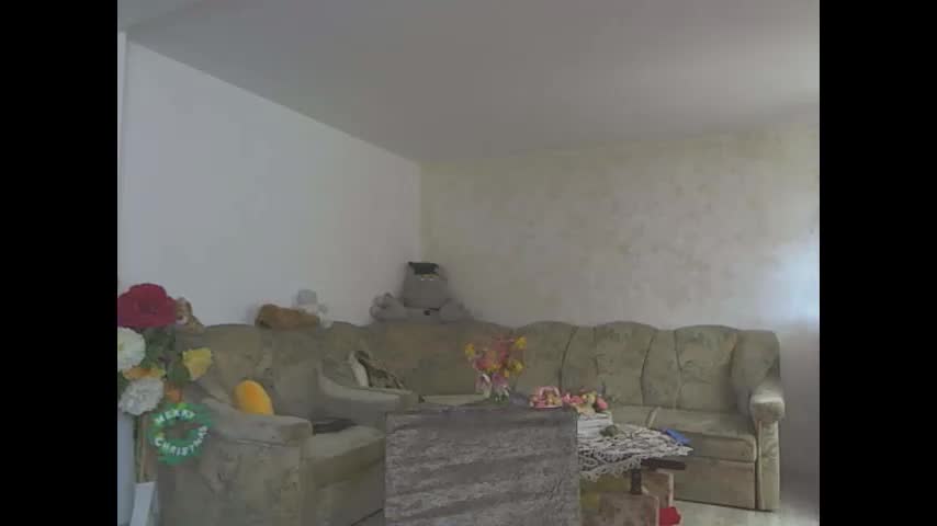 melly_rosey Adult Chat April 12, 2026