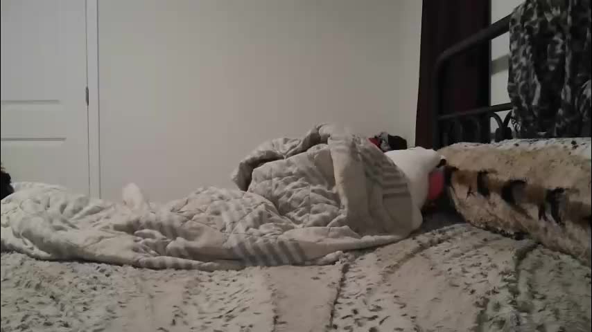 glorialove777 Adult Chat April 12, 2026