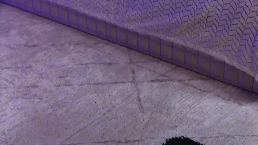 onlyxandra7 Adult Chat April 13, 2026