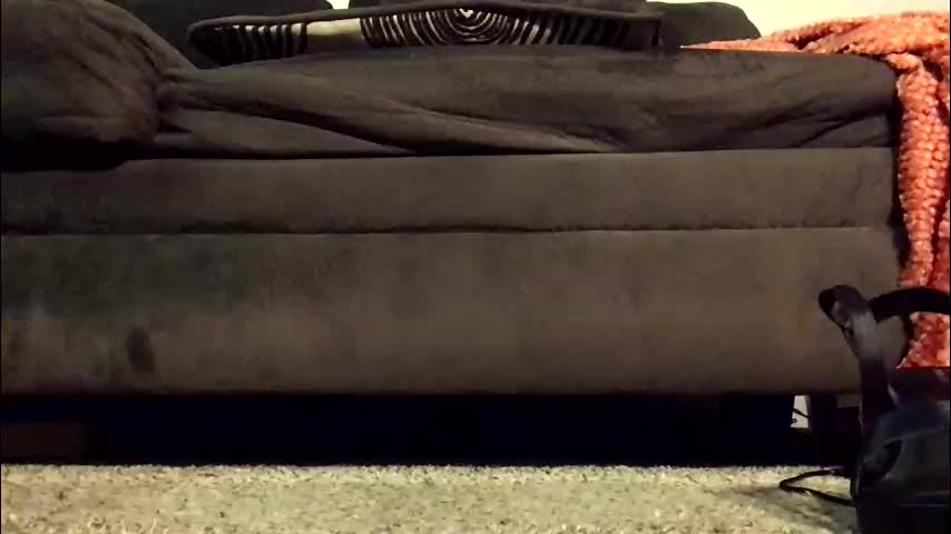 thickmadame28 Adult Chat April 14, 2026