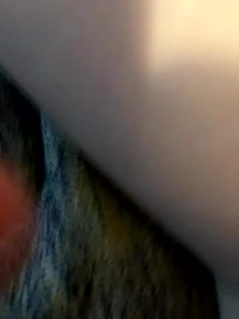 hotpars Adult Chat April 14, 2026