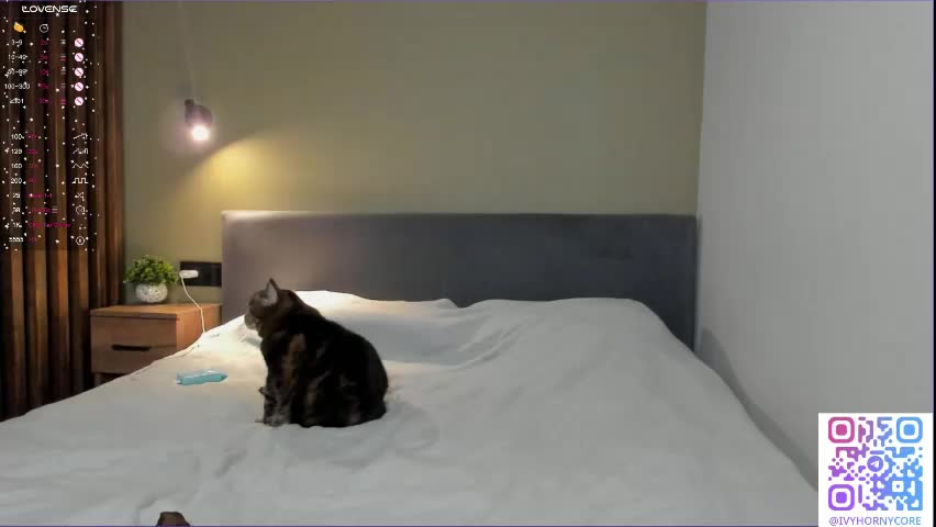 shy_suchka Adult Chat April 14, 2026