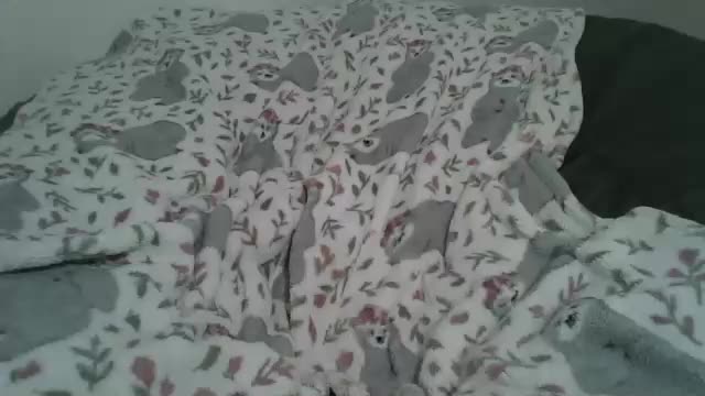 milfsdoitbetter Adult Chat April 14, 2026