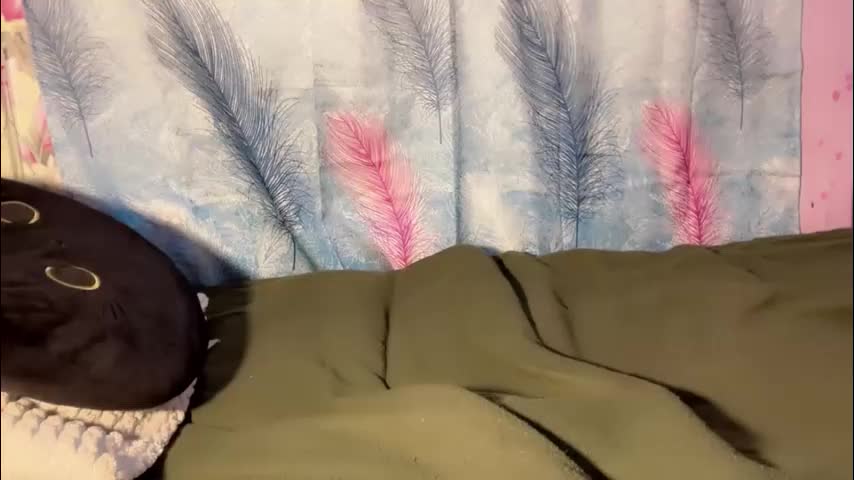 miss_cassyx Adult Chat April 15, 2026