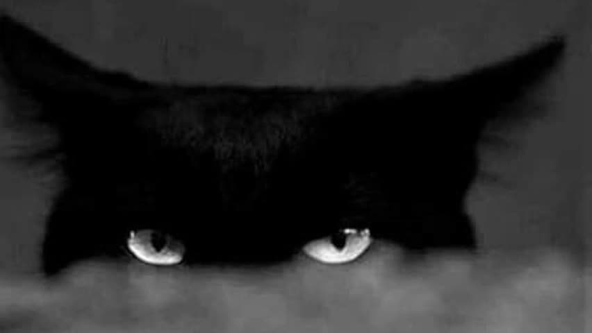 void_smokin Adult Chat April 14, 2026