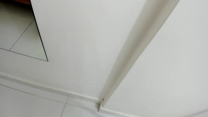 daila_beltran Adult Chat April 15, 2026