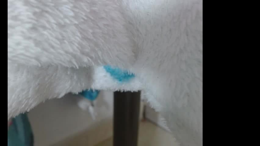 catalina_ada Adult Chat April 15, 2026