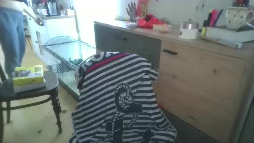 pornbusty Adult Chat April 15, 2026