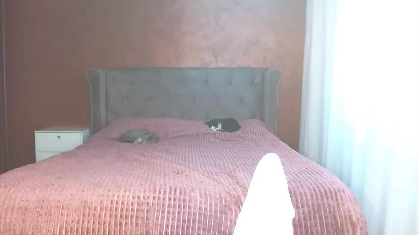 mishakiss34 Adult Chat April 15, 2026