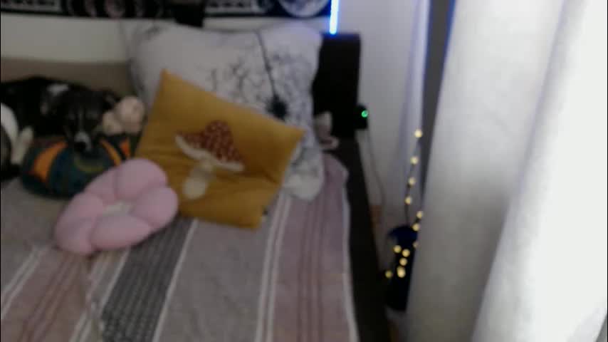 aliens4twenty Adult Chat April 15, 2026