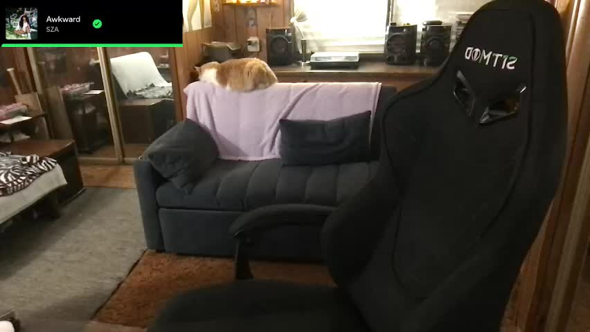 incognitoqueen Adult Chat April 15, 2026