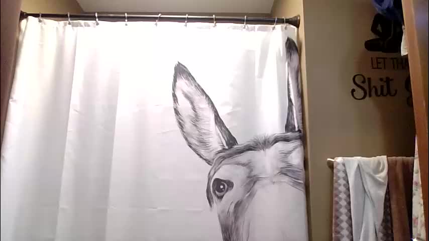 misseeva Adult Chat April 16, 2026