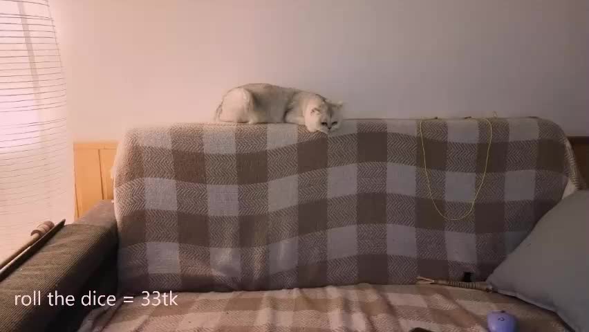 sunlovedamily Adult Chat April 17, 2026