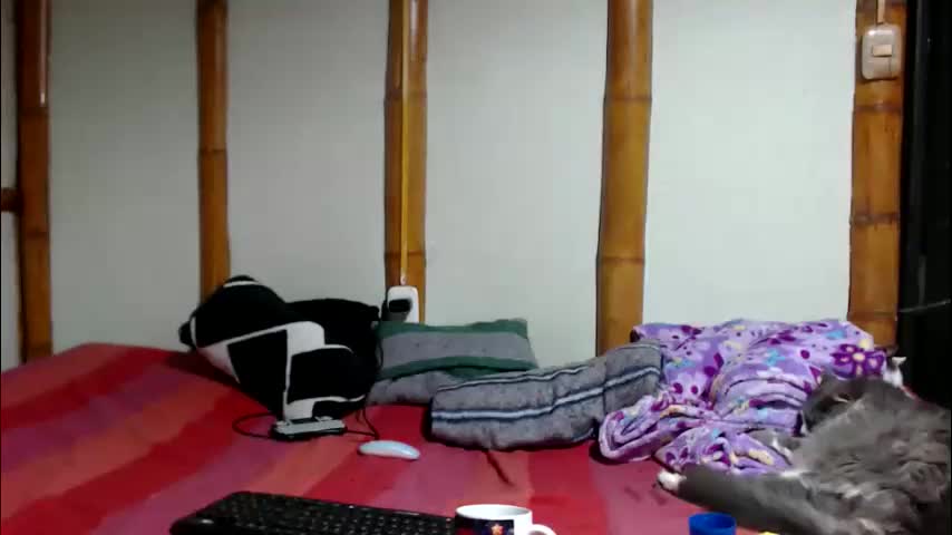 miahells Adult Chat April 17, 2026