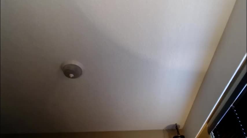 roxyrolla Adult Chat April 17, 2026