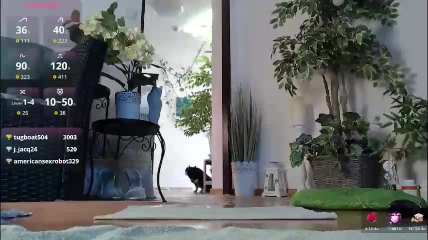 squirtmanica Adult Chat April 17, 2026