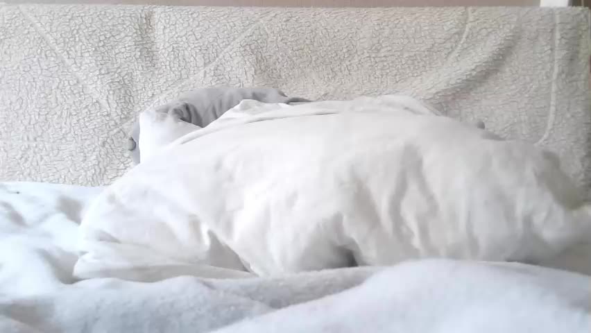 lenorrr Adult Chat April 19, 2026
