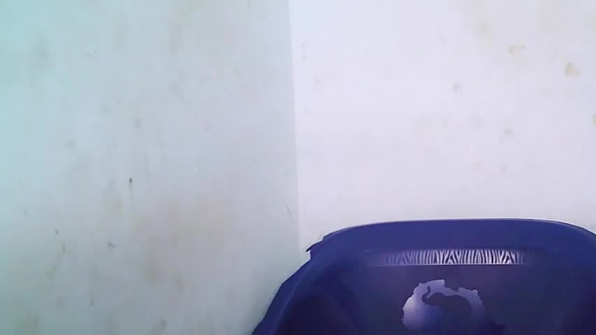 cherryxpussy Adult Chat April 19, 2026