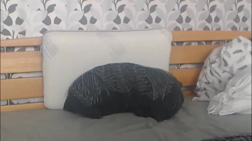 kelywild20 Adult Chat April 21, 2026