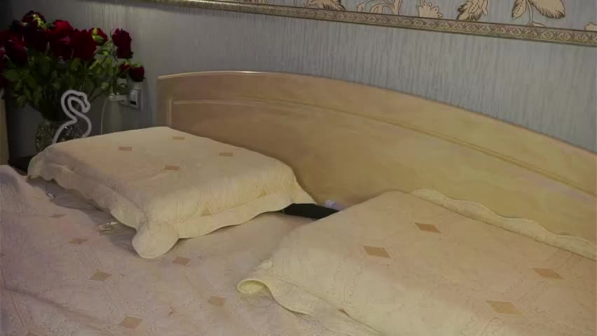 meghanantell Adult Chat April 20, 2026