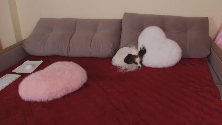 magic_touch_ Adult Chat April 21, 2026