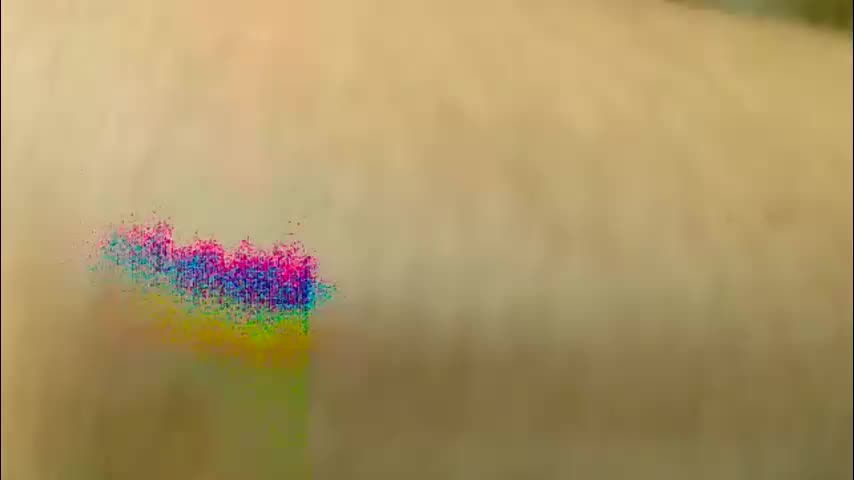 asha3388 Adult Chat April 21, 2026