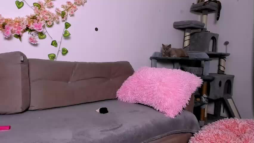 ladytrep Adult Chat April 21, 2026