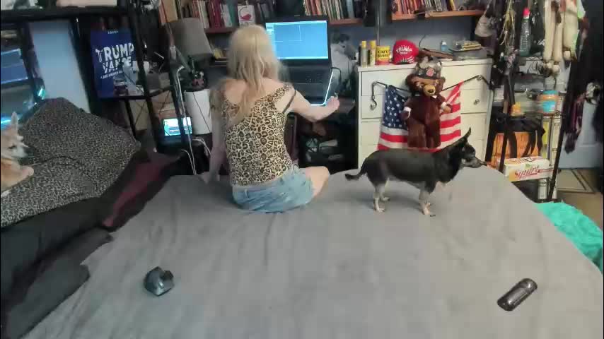 pink_black Adult Chat April 21, 2026