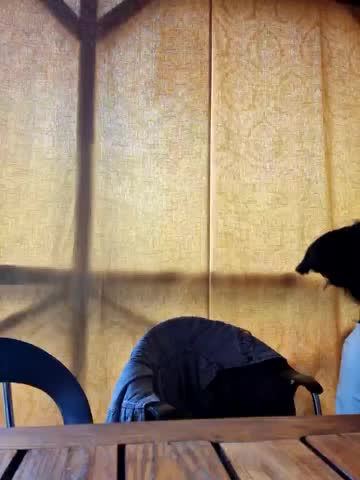 -Pupsiki- Adult Chat April 22, 2026